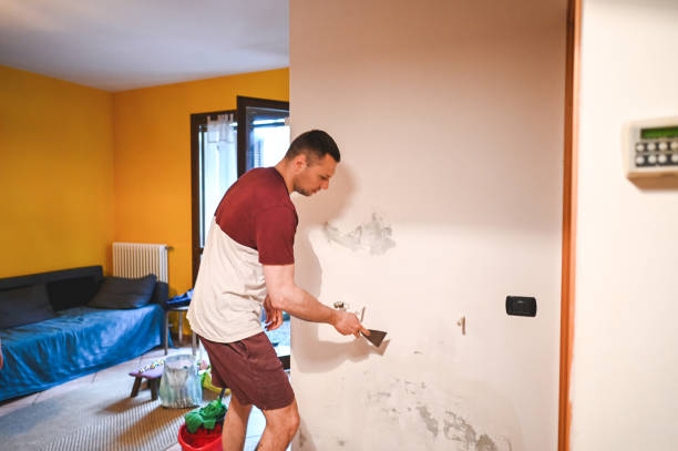 Best Kitchen Mold Remediation in Eulyptus Hills, CA